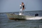 Cruising for tarpon