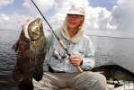 Tripletail in hand