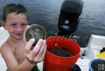 Big scallops make for tasty seafood