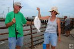 Shoreline flounder
