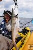 Trophy gafftop with young angler