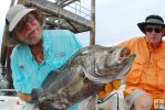 Tripletail in hand