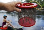 Fresh water baits