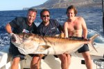 Huge amberjack
