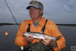 Ladyfish from tidal creek