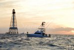 Sunrise baitfish quest