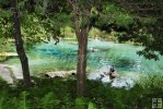 Ichetucknee head spring-1