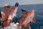 Red snapper double-header