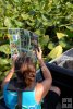 Plant ID Chart