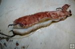Cut and rigged squid