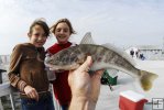 Whiting dinner for two