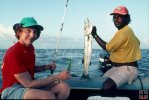 Belize Barracuda