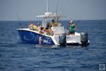 Landing a red snapper