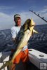 Gaffer-size mahi-mahi