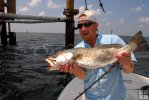Seatrout and offshore platform