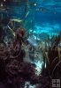 Tilapia and lyngbya algae-2