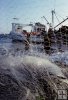 Gillnet boat