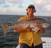 Bull Redfish