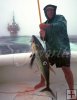 Yellowfin, Louisiana oil rig