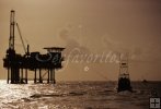 Billfish Country