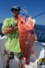 Big red snapper!