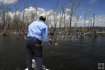 Casting for snook