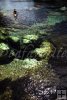Salt Springs, Florida