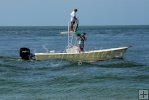 Looking for tarpon