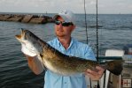Big jetty trout, Texas
