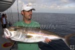 Amberjack caught on metal jig
