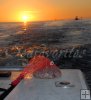 Chum bag, day's end