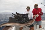 Big Pacific sailfish
