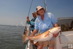 Redfish Action