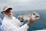 Juvenile amberjack