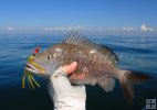 Grunt with jig