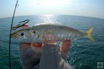 Cigar minnow treble hook