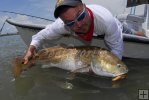 Heavy redfish, tired angler