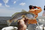 Sand trout and binocs