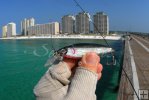 Pier plug