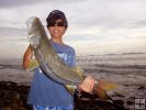 Venezuelan snook