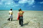 Wadefishing Wadefishing