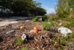 Tide's out, debris is in