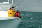 Live-baiting for runners
